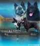 Makói Csípős Mudi Kennel (HU)