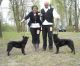 Hagyma-Földi Kennel Hagyma-Földi Kennel