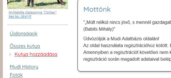 Admin