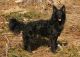 Igazi, S60389/2007