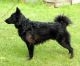 Bestagility Aris, SE 51817/2012
