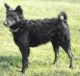 Kunok Kincse Cecil, MET.Mu.3854/09