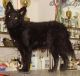 Sacaházi Olgi, MET.Mu.3121/06